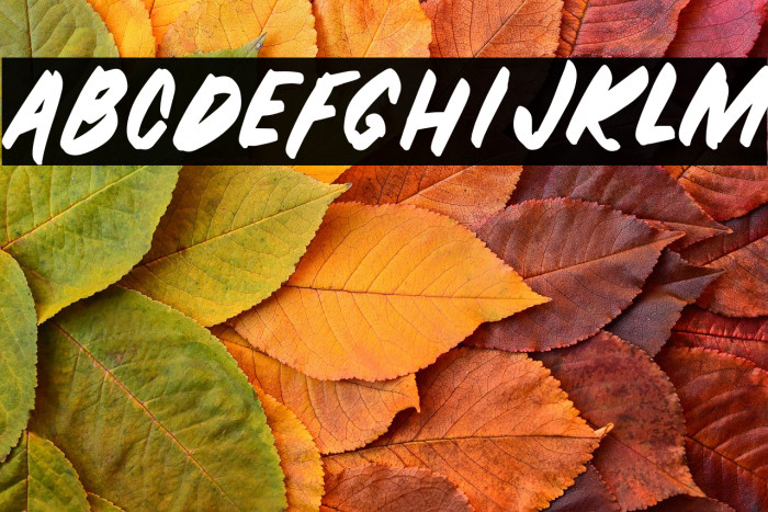 ZOMBIE-Regular Example 3