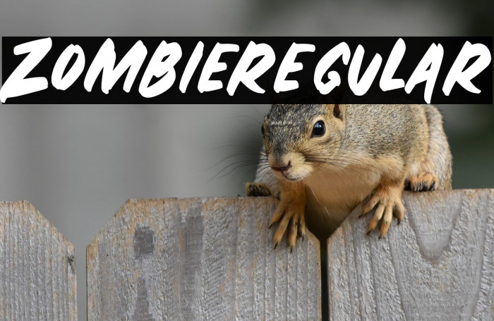 ZOMBIE-Regular Example 2
