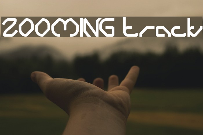 ZOOMING track Font examples