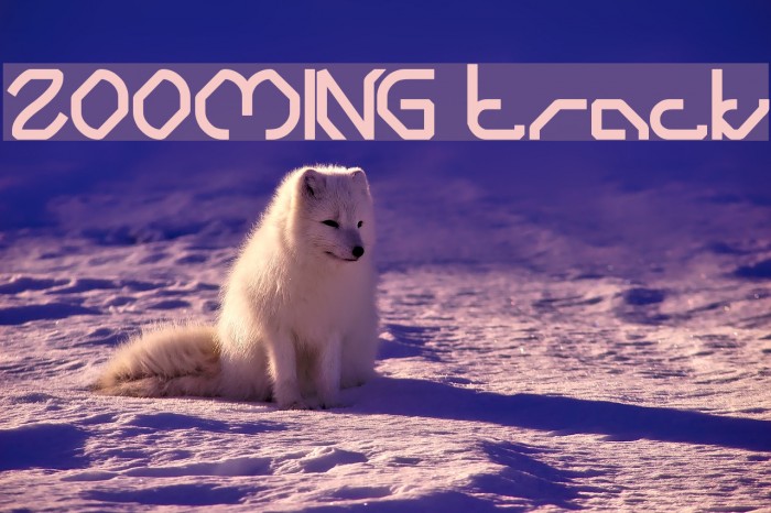 ZOOMING track Font examples
