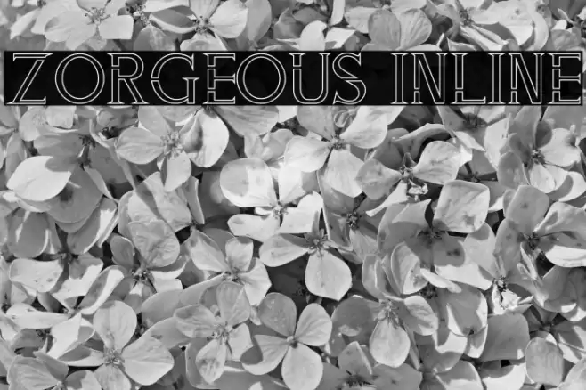 ZORGEOUS INLINE Font examples