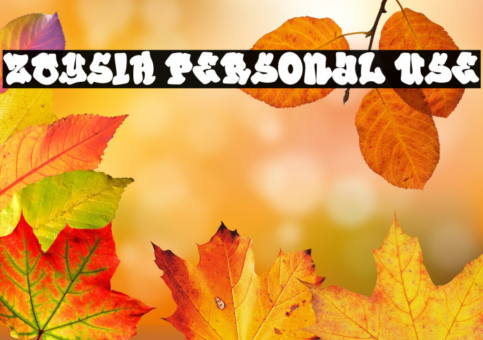 ZOYSIA Personal Use Example 1