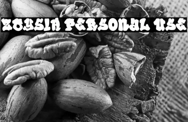 ZOYSIA Personal Use Font examples