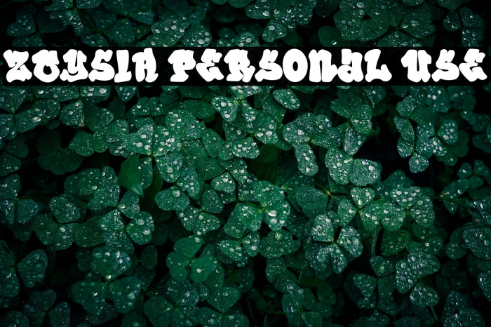 ZOYSIA Personal Use Example 3