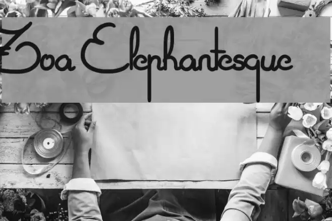 Zoa Elephantesque Font examples