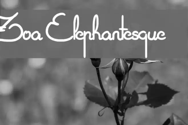 Zoa Elephantesque Font examples