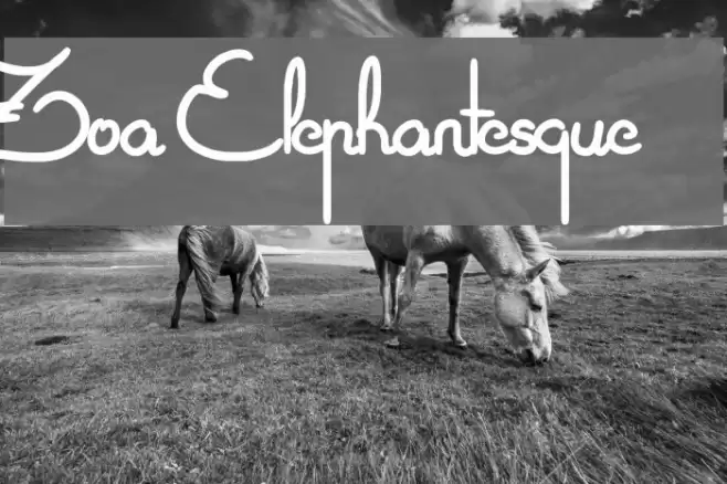 Zoa Elephantesque Font examples
