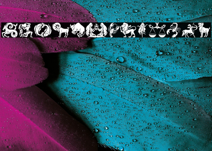 Zodiac Mix Example 1