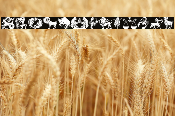 Zodiac Mix Example 3