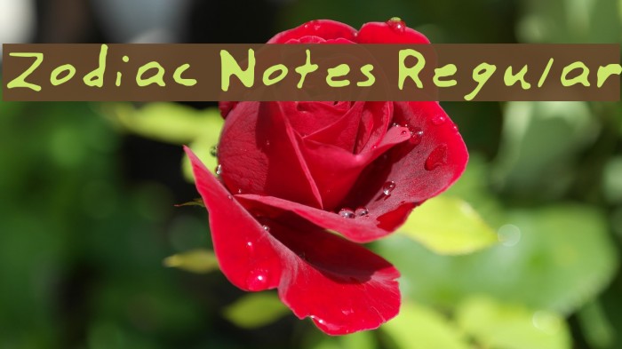 Zodiac Notes Regular Font examples