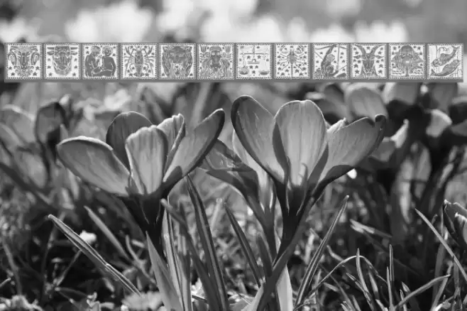 Zodiac02 Font examples