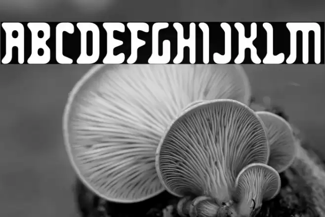 Zodillin-Regular Font examples