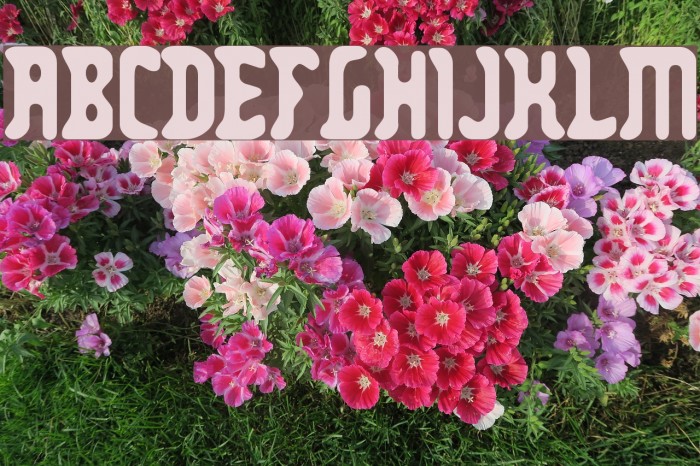 Zodillinstrisstirust Font examples
