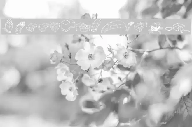 Zoeboxes Normal Font examples