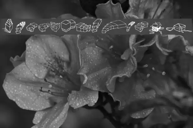 Zoeboxes Normal Font examples