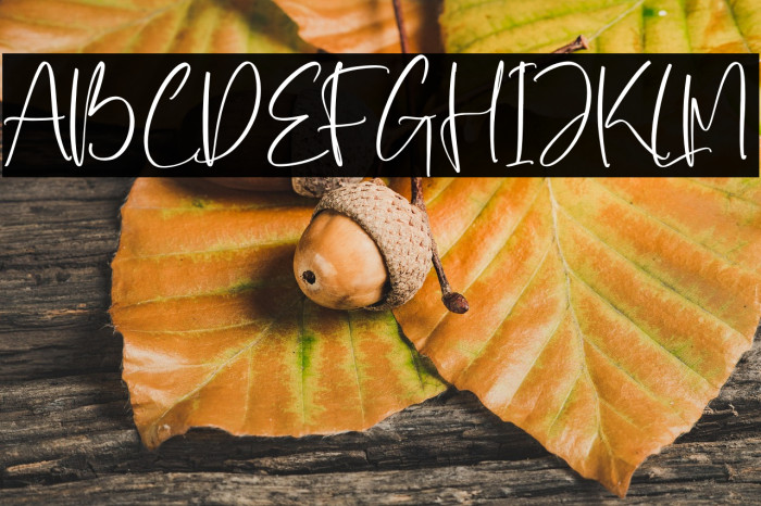 Zofia Larsonty Example 3