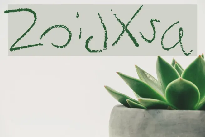 ZoidXsa Example 3