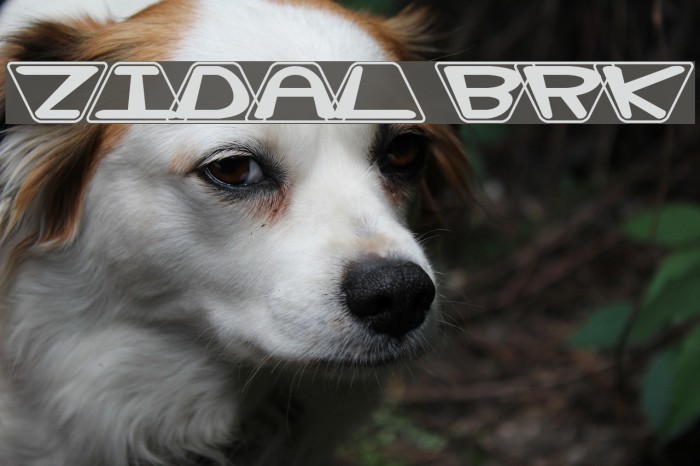 Zoidal BRK Font examples