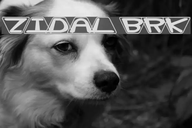 Zoidal BRK Font examples