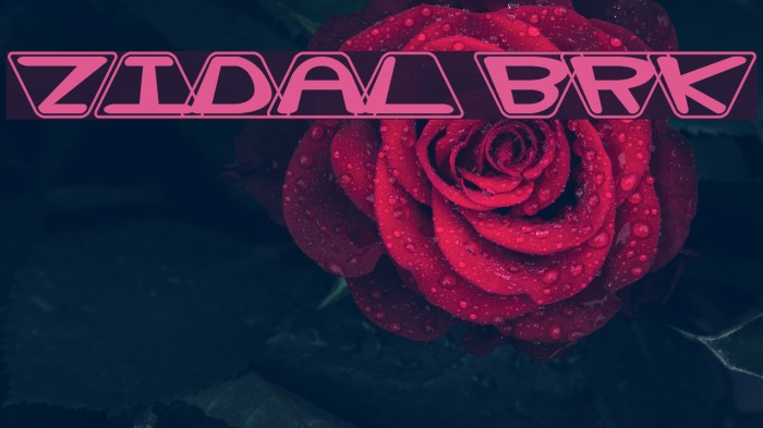 Zoidal BRK Font examples