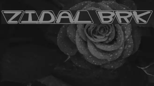 Zoidal BRK Font examples