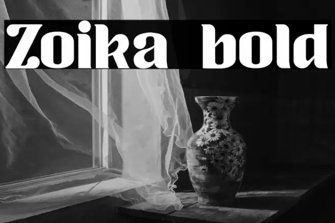 Zoika bold Font examples