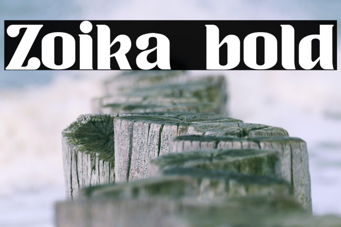 Zoika bold Example 2
