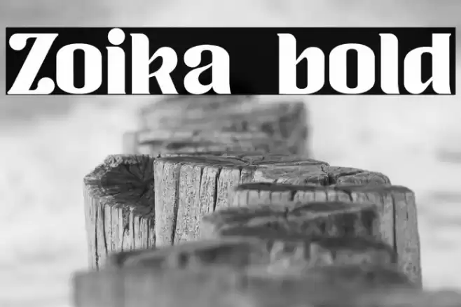 Zoika bold Font examples