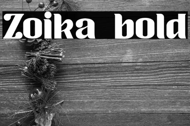 Zoika bold Font examples