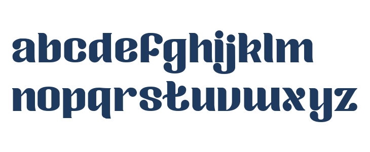 Zoika bold Lowercase