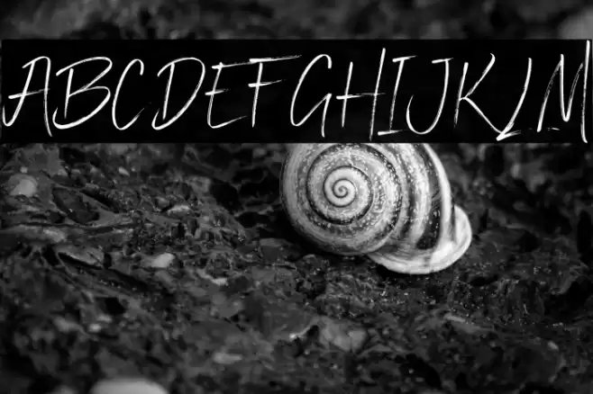 Zolanti Font examples