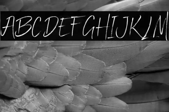 Zolanti Font examples