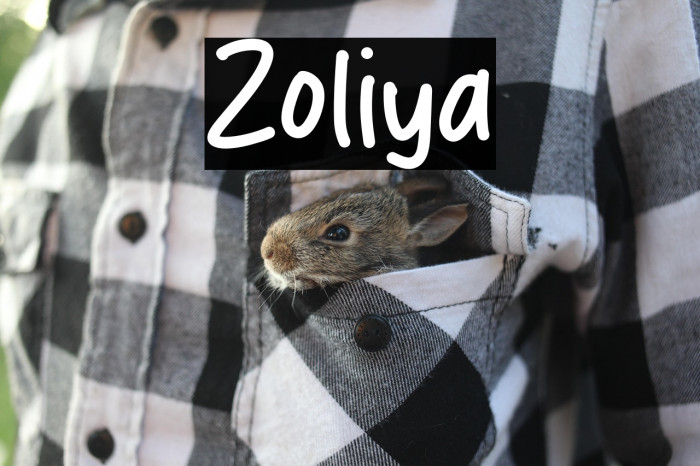 Zoliya Example 1