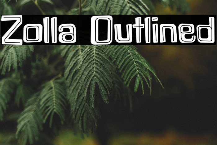Zolla Outlined Example 1
