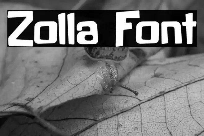 Zolla Caratteri examples