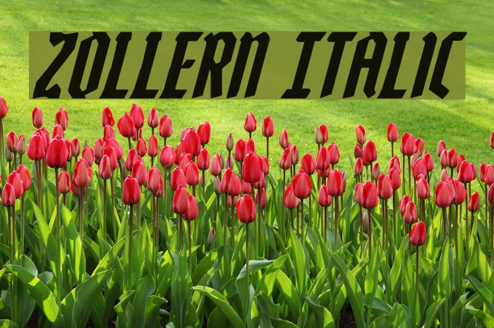 Zollern Italic Example 3