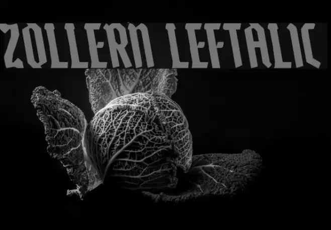 Zollern Leftalic Font examples