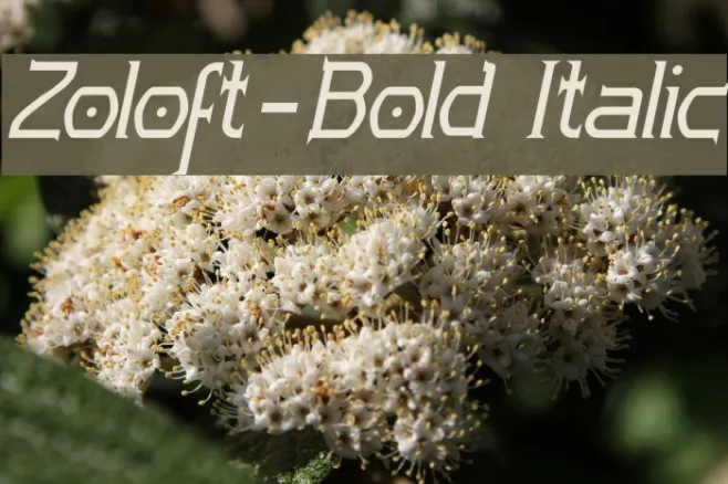 Zoloft-Bold Italic Example 1