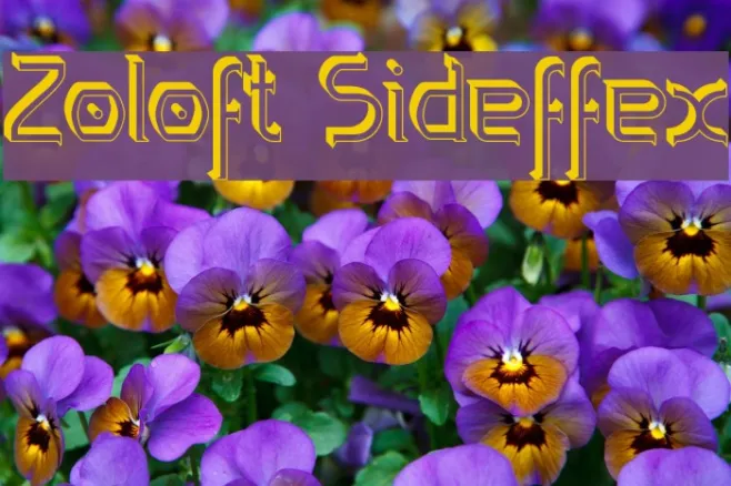 Zoloft Sideffex Example 1