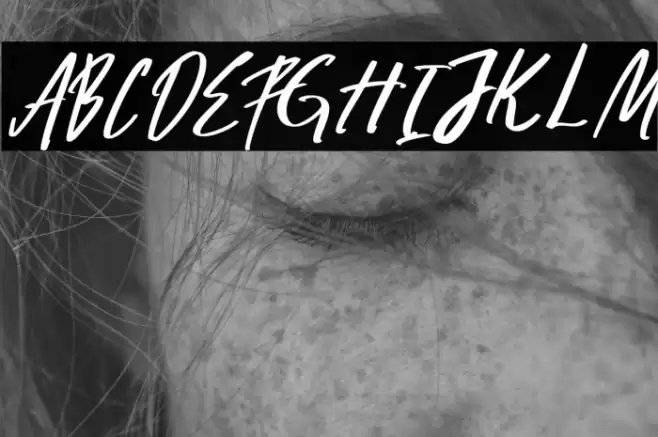 Zoltan Brownhate フォント examples