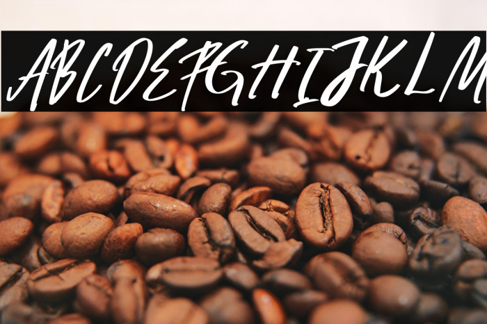 Zoltan Brownhate Example 2