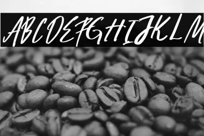 Zoltan Brownhate フォント examples