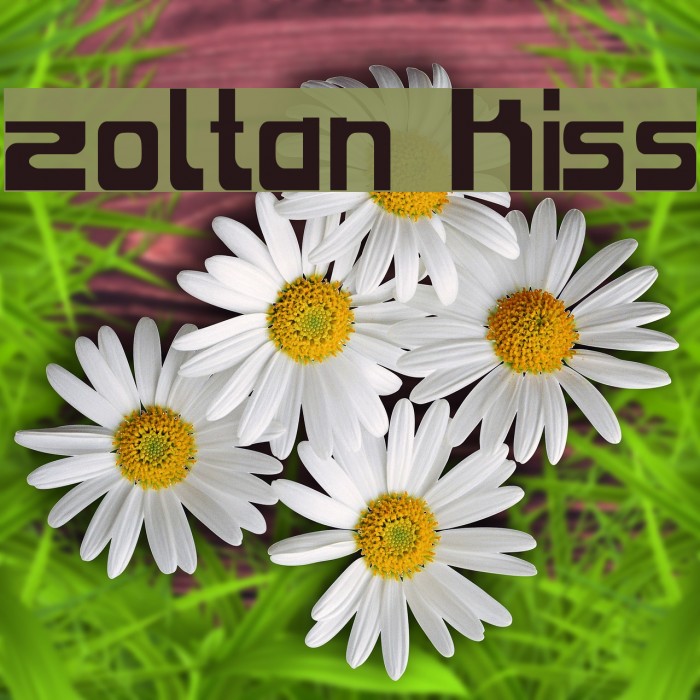 Zoltan Kiss Font examples