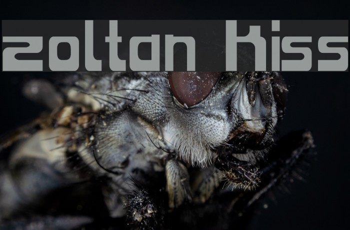 Zoltan Kiss Font examples