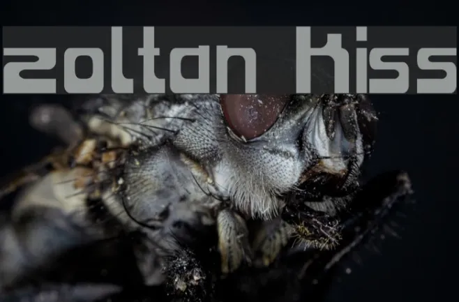 Zoltan Kiss Example 3