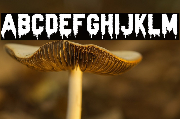 Zombie Blood Example 2