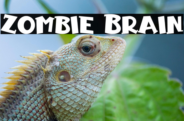 Zombie Brain Example 2