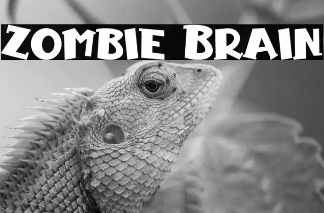 Zombie Brain Polices examples