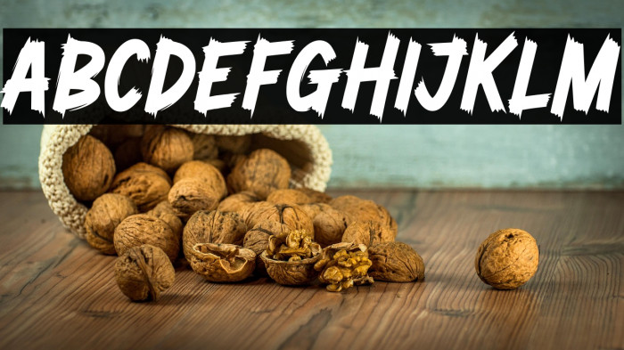 Zombie Brush Personal Use Example 1