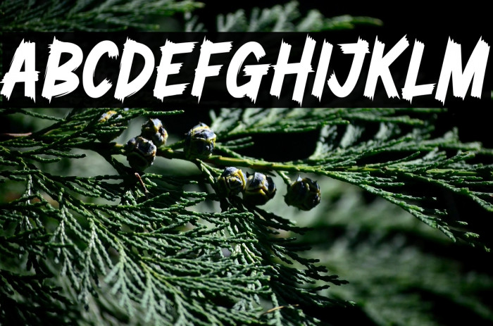 Zombie Brush Personal Use Example 3